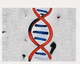 DNA 두들 디테일
